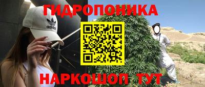 прущие крисы Конаково