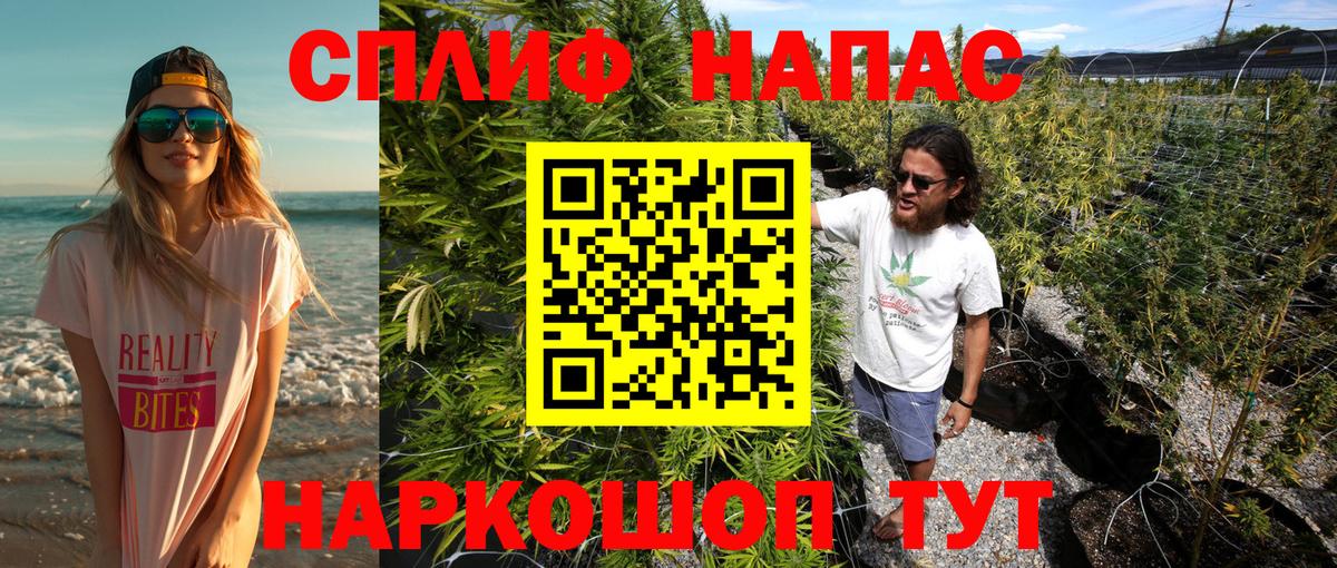 Каннабис конопля Котлас